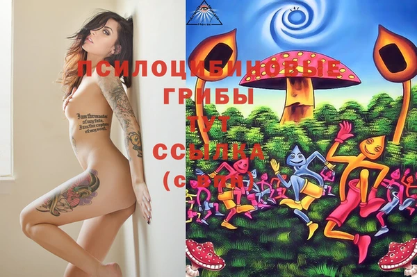 герыч Магас