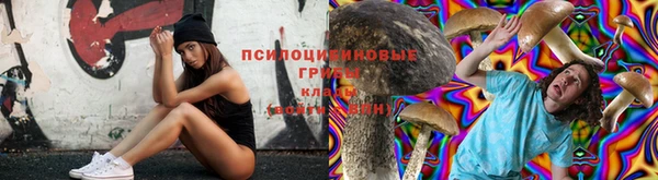 a pvp Медвежьегорск