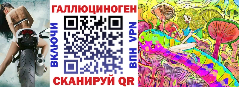 наркотики  Сясьстрой  Псилоцибиновые грибы Psilocybine cubensis 